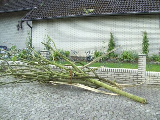 windhose 20090820 - 14.jpg