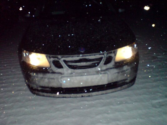 Winter Schwede.jpg