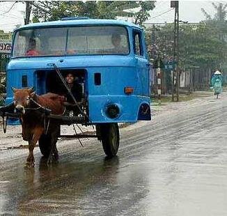 China im Auto-Wahn.JPG