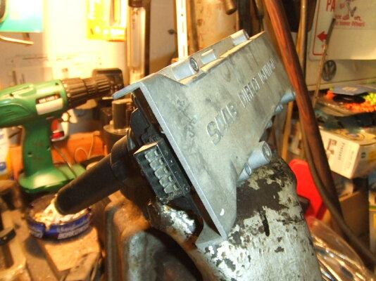 DSCF1524.JPG