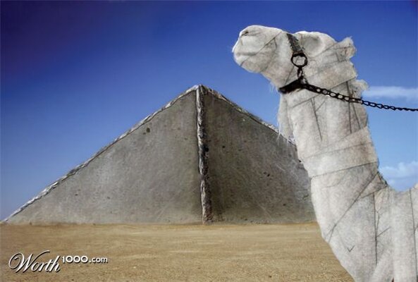 Ausschreibung Grossauftrag Ägypten.jpg