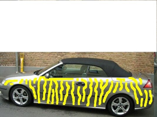 zebra.JPG