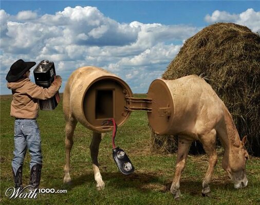 horsepower.JPG