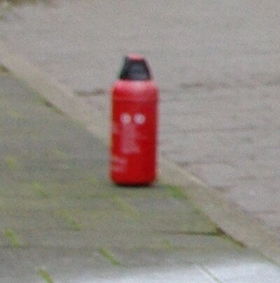 Bester_Freund_20091202.jpg