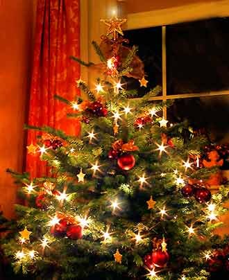 weihnachtsbaum2.jpg