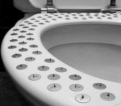 toilet seat2.jpg