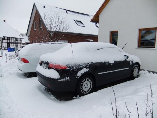 winter09.JPG