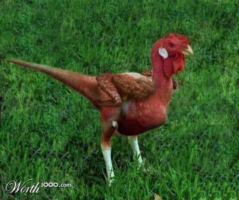 ente neu.jpg