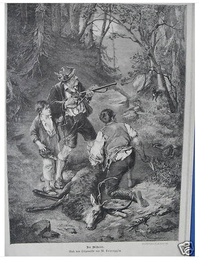 Hirsch erlegt.jpg