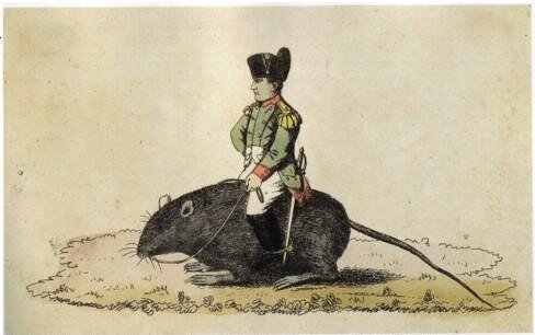 Napoleon beim Ausritt.JPG