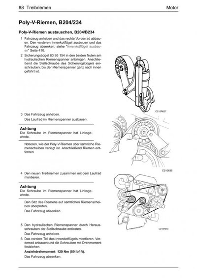 Poly-V-Riemen_B234_2.jpg