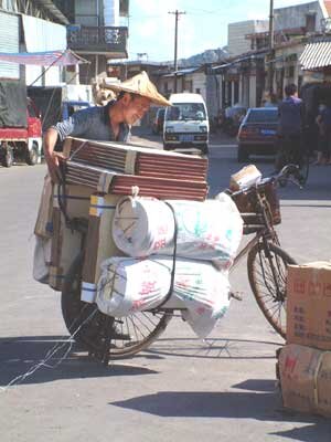 fahrrad-transport.jpg