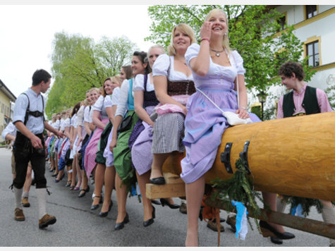 maibaum.jpg