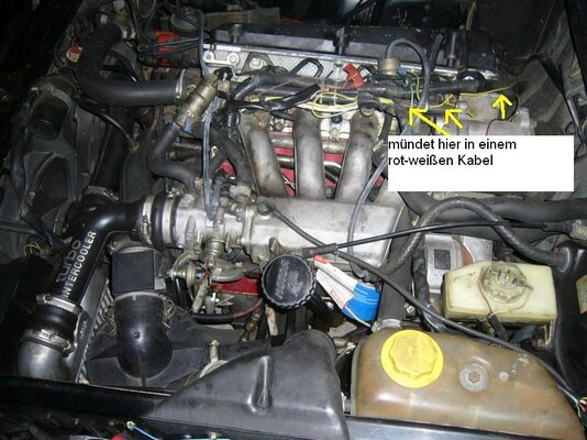 Motor1b.JPG