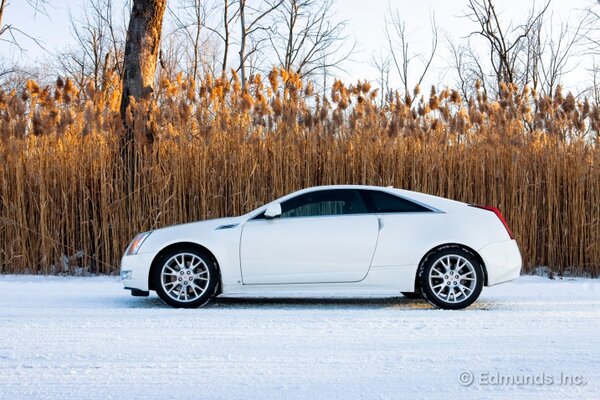 2011_cadillac_ctscoupe_prf_fd_1_717.jpg