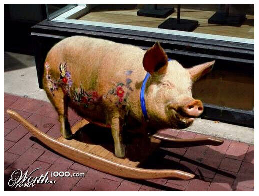 schaukelschwein.jpg