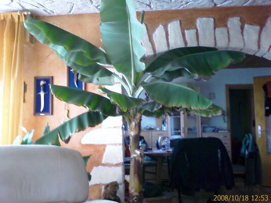 IMAGE_00004.jpg