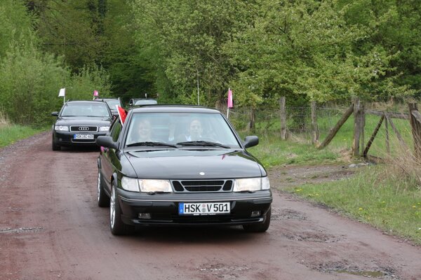 253.jpg 253.jpg