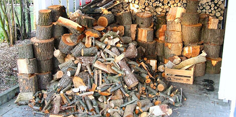 20090321_holzhaufen.jpg