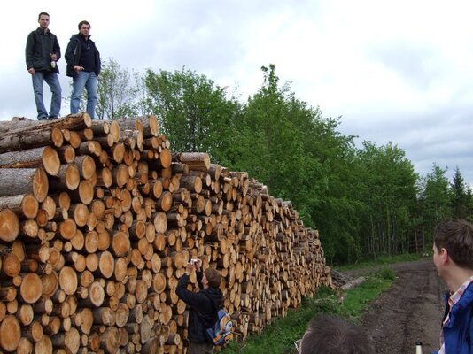 07_holzhaufen2.jpg