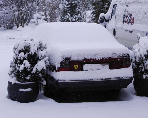 schnee.jpg