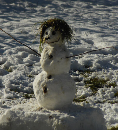 schneemann.jpg