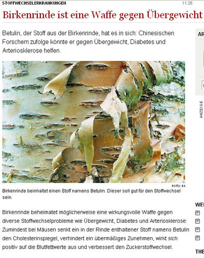 übergewicht.jpg