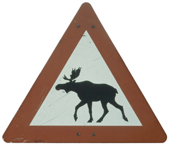 elch.gif