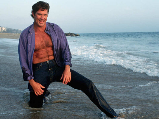 david-hasselhoff-02.jpg