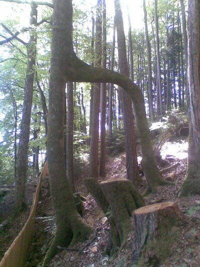 Bild137.jpg