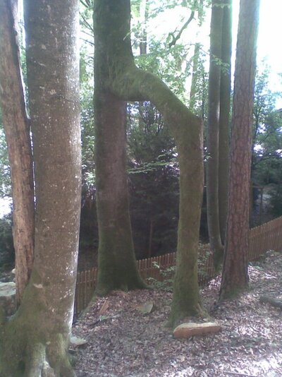 Bild135.jpg