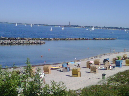 IMG00092-20110603-1611.jpg