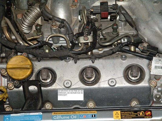 Motor 3.TID_Glühkerzen.jpg