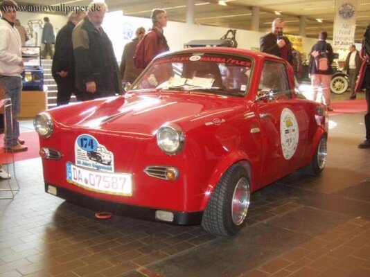 Goggomobil_Coup_Rallye.jpg