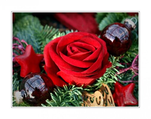 Zum-1-Advent-a23092921.jpg