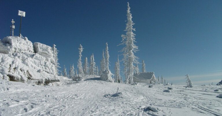 winter2012.jpg