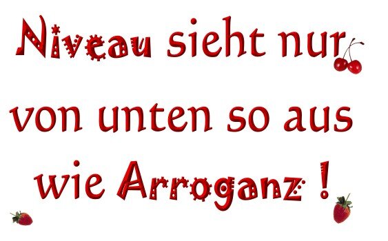 Niveau_und_Arroganz.jpg