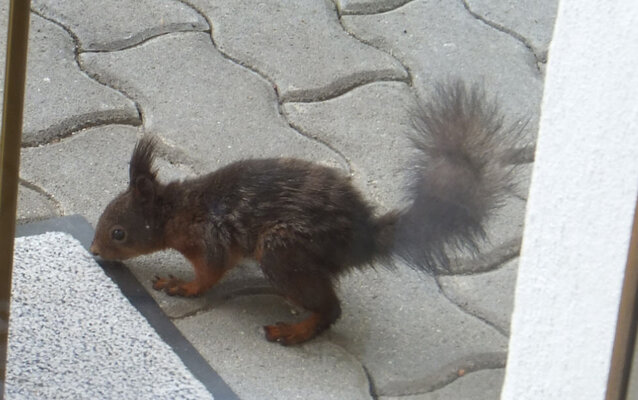 besuch.jpg