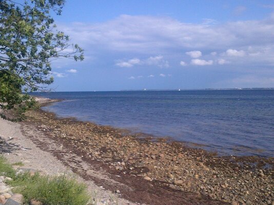 IMG-20120806-00015.jpg