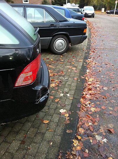 Foto3.jpg