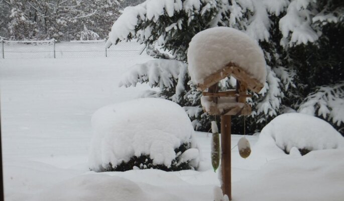 snow.jpg