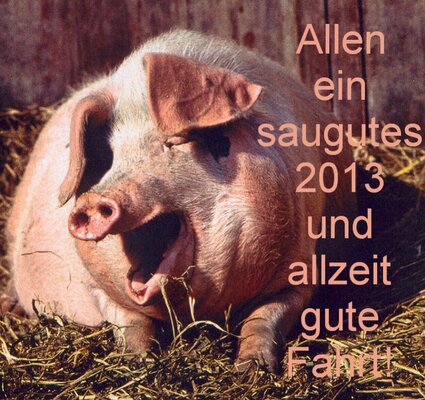 schwein2013.jpg