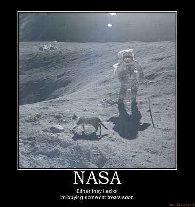 nasa-cat-moon-apollo-astronaut-space-kitty-demotivational-poster-1247159827.jpg