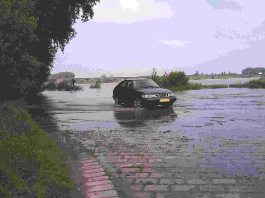 dem Rheinhochwasser entflohen.jpg