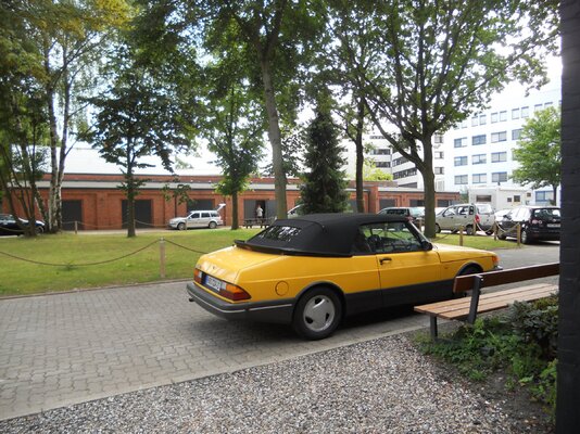 DSCN1975.JPG DSCN1975.JPG