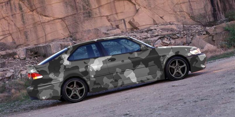 camo-saab_polar.jpg