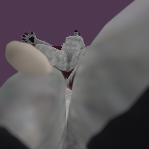 VRChat_2023-12-02_21-24-04.009_1920x1080