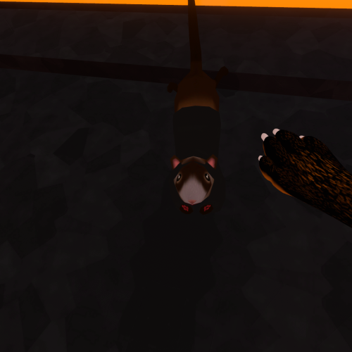 ChilloutVR-2022-11-13_00-32-04