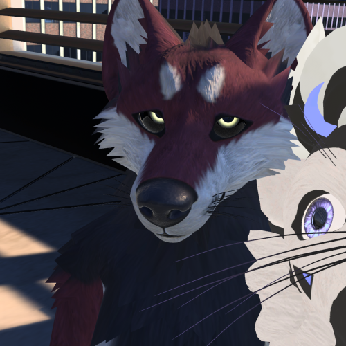 ChilloutVR-2022-12-23_01-48-22