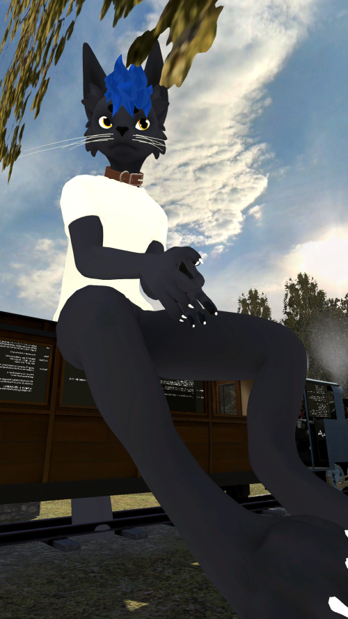 VRChat_2023-01-08_01-28-55.521_1080x1920.png